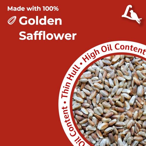 Lyric Golden Safflower Bird Seed for Outside Feeders - Attracts Cardinals, Chickadees, Woodpeckers & More, 12 lb Bag