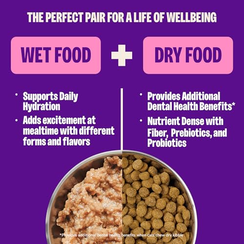 Wellness Complete Health Pate Variety Pack Kitten Canned Wet Cat Food, Natural, Protein Rich, Grain Free, Whitefish and Chicken Recipes, 3 oz, Pack of 12 Cans