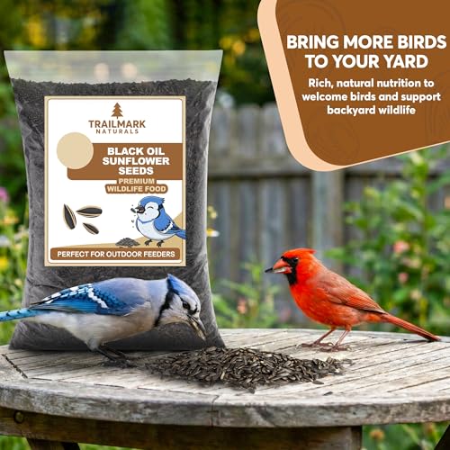 10 Pound Black Oil Sunflower Seeds for Birds – Premium Wildlife Food – Non - GMO -Grown in the USA - Black Oil Sunflower Seeds for Wild Animals and Backyard Feeders