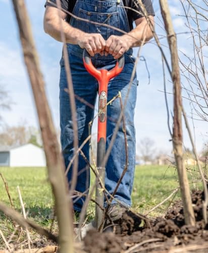 Root Slayer 22011 Garden Shovel with Serrated Blade for Digging and Root Cutting, Heavy Duty Steel Spade, Red