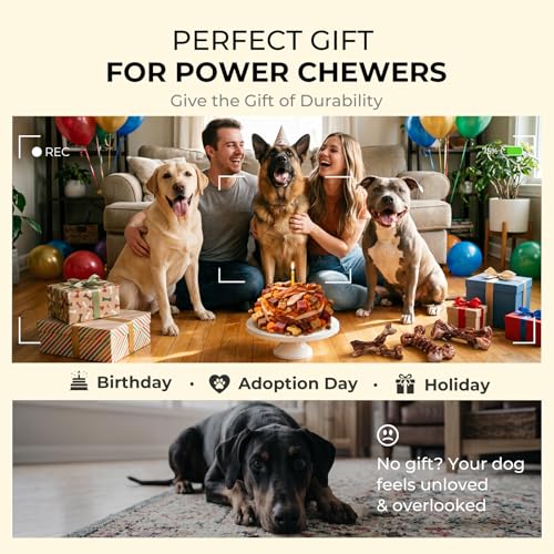 Kseroo 3-Pack Indestructible Dog Chew Toys for Aggressive Chewers: Bacon Flavored Rock-Hard Solid Nylon, Tough Dog Bones for Medium/Large Dogs 25-90lbs, Heavy Duty Dog Toys to Keep Them Busy, Brown-XL