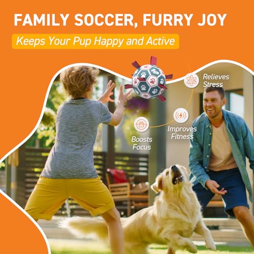 QDAN Dog Balls, World Cup Soccer Ball with Straps, Durable Herding Balls for Small Medium Pet, Puppy Birthday Gifts, Dog Water Toy, Pet Toys Puppy Ball (6 Inch)