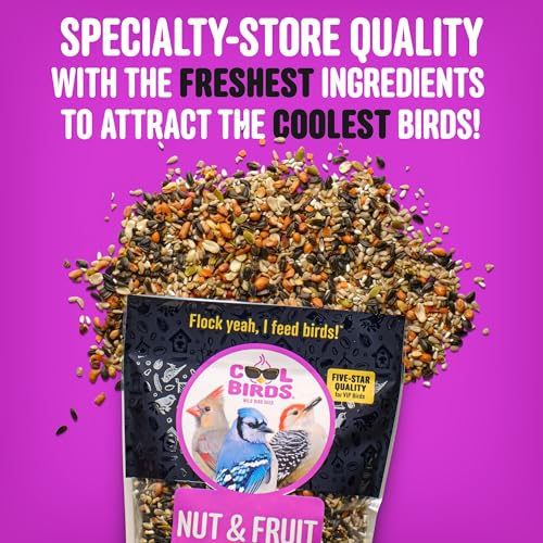 Cool Birds Nut & Fruit Wild Bird Seed – 10 lb. Gourmet Bird Food with Sunflower Hearts, Peanuts, Tree Nuts & Real Fruit – No Corn, Milo or Millet Bird Seed for Outside Feeders