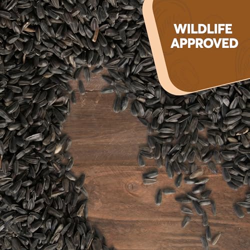 10 Pound Black Oil Sunflower Seeds for Birds – Premium Wildlife Food – Non - GMO -Grown in the USA - Black Oil Sunflower Seeds for Wild Animals and Backyard Feeders
