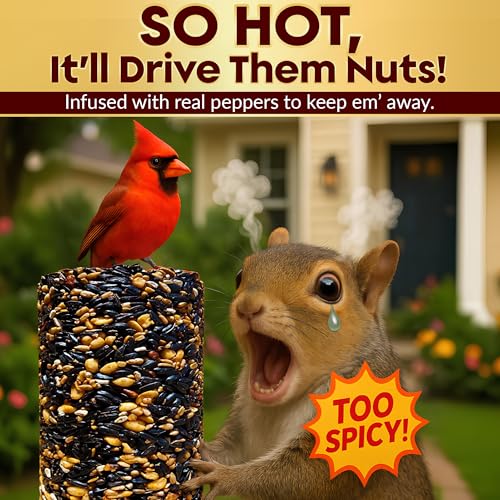 Hot Pepper Bird Seed Cylinders with Hole – Spicy Birdseed to Reduce Squirrels – Bird Seeds for Outside Wild Birds – No Mess Birdseed – Hot Birdseed with No Filler – All Natural, USA Made (4" x 7.75")