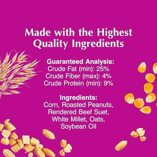 C&S High Energy Delight No Melt Suet Dough, Suet Cakes for Wild Birds Including Woodpeckers, Nuthatches, Chickadees and More, Pack of 8