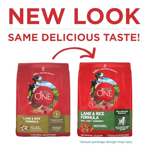 Purina ONE Dry Dog Food Lamb and Rice Formula - 31.1 lb. Bag