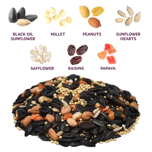 Audubon Park Nut & Fruit Wild Bird Seed – 8 lb. Premium Blend with Sunflower Seeds, Peanuts, Safflower & Dried Fruit – Bird Food for Outside Feeders