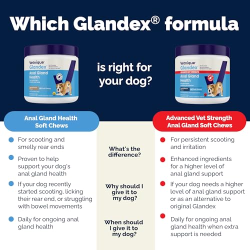 Vetnique Glandex Anal Gland Soft Chew Treats with Pumpkin for Dogs Digestive Enzymes, Probiotics Fiber Supplement for Dogs Boot The Scoot (Peanut Butter Chews, 60 Count)