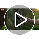 DECERK® 8.5" Professional Pruning Shears - Cuts 4X Easier with Ultra Sharp Japanese Steel Titanium Blade, Arthritis Friendly Garden Scissors & Plant Clippers, Effortlessly Prunes 3/4" Branches