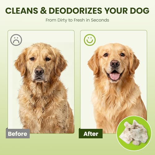 Hypoallergenic Pet Wipes for Dogs & Cats – Quick Clean & Deodorize Paws, Butt, Eyes, Ears, Face & Fur | Daily Grooming After Walks and Between Baths | Extra Large & Thick | Coconut Scented, 400 Count