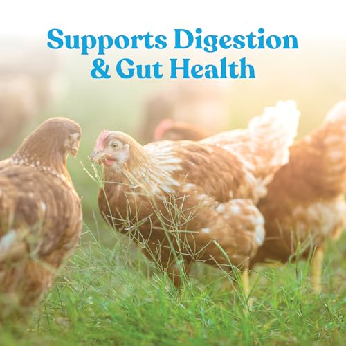 Manna Pro Hydro-Hen Poultry Electrolyte & Probiotic Supplement, Hydration Support for Chickens, Ducks, Turkeys & Waterfowl, 20 oz