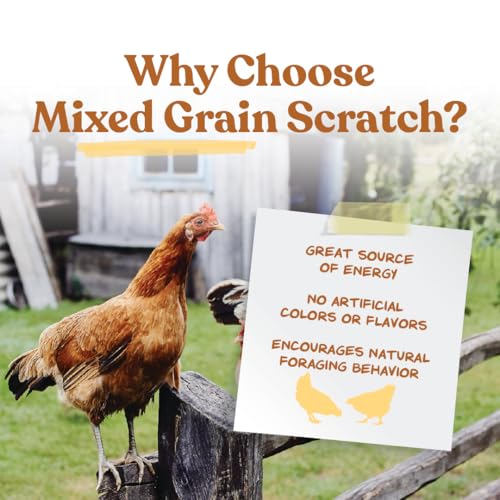 Manna Pro Ultimate Chicken Scratch Feed, Nutrient-Rich Scratch Grain Treat for Chickens and Poultry, Natural Multigrain Blend for Backyard Flocks and Laying Hens, Made in USA, 10 lb Bag