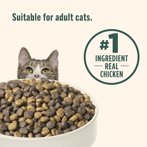 Nutrish Indoor Complete Chicken, Lentils & Salmon Recipe Dry Cat Food, 6 lb. Bag, Packaging May Vary (Rachael Ray)