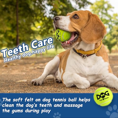 INSUM Tennis Balls for Dogs - 12 Pack 2.5'' Durable Non-Toxic Outdoor Dog Toys Balls with Mesh Bag, SGS Certified, Colorful Fetch Toys, Medium Large Breeds (Non Squeaky)