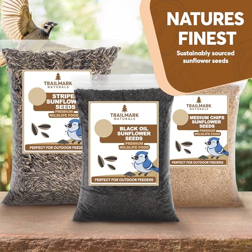 3 LB Black Oil Sunflower Seeds for Birds – Premium Wildlife & Bird Food – Grown in USA - Non-GMO - Black Oil Sunflower Seeds for Wild Birds and Backyard Feeders
