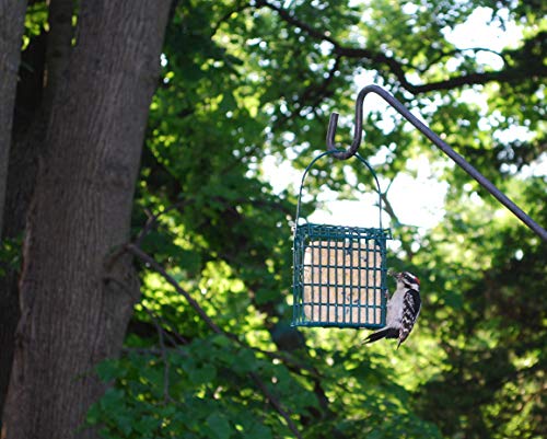 Wildlife Sciences Woodpecker Suet Cake 10 Pack for Wild Birds