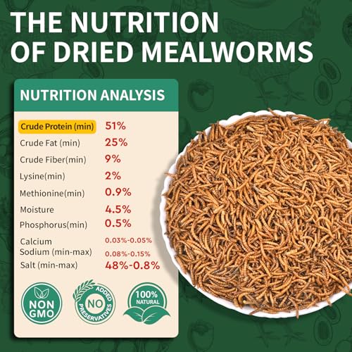 BUNTIE WORMS Dried Mealworms 5LB, 100% Natural, Non-GMO Mealworms for Chickens – High Protein Chicken Feed Meal Worms for Wild Birds, Chickens, Ducks and Turtles