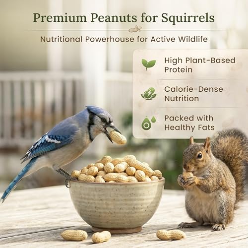 Forest Haven Premium Raw Peanuts for Squirrels – 10LB Bulk Squirrel Food – Unsalted Peanuts in Shell for Birds, Deer & Wildlife – Bonus Binoculars Included - USA Grown