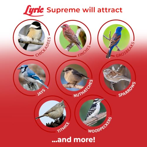 Lyric Supreme Wild Bird Seed for Outside Feeders - Wild Bird Food Mix with Nuts & Sunflower Seeds, Attracts Many Beautiful Songbirds, 40 lb Bag