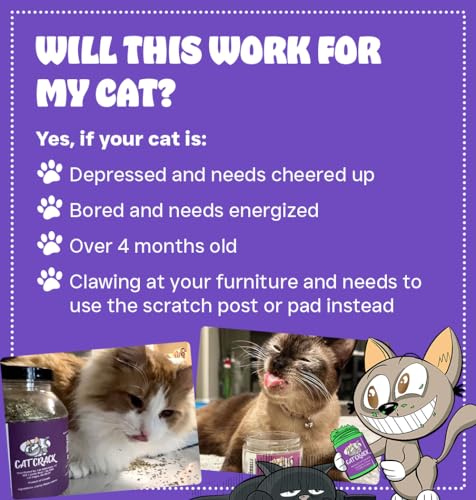 Cat Crack Catnip, Zoomie-Inducing Cat Nip Blend, North American Made & 100% Natural, Safe & Non-Addictive Catnip Treats Used to Supplement Cat Nip Toys, Spray, & Accessories (1 Cup)