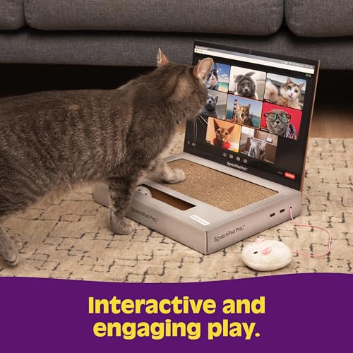 ScratchPad Pro — Cardboard Laptop Cat Scratcher, Interactive Cat Toys for Indoor Cats, Kitten Supplies and Cat Stuff by Relatable