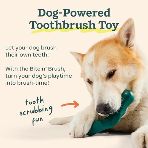WOOF - Bite n' Brush Refills Treats for the Dog Toothbrush Toy - Scrub Plaque and Tartar from Your Dog's Teeth and Mouth - Dog Dental Sticks - Approximately 18 Refills - Beef