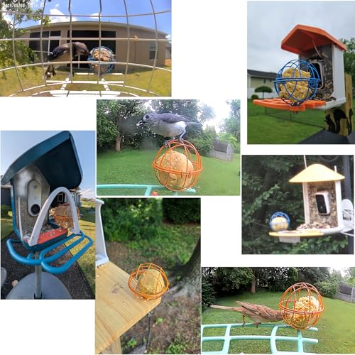 Metal Suet Ball Holder for Bird Buddy, Compatible with BirdBuddy Smart Feeders & Others with Ready 5mm Screw Hole, Durable Accessory & Add-on Attachment for Bird Feeders (Orange)
