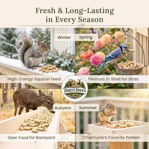 Forest Haven Premium Raw Peanuts for Squirrels – 10LB Bulk Squirrel Food – Unsalted Peanuts in Shell for Birds, Deer & Wildlife – Bonus Binoculars Included - USA Grown