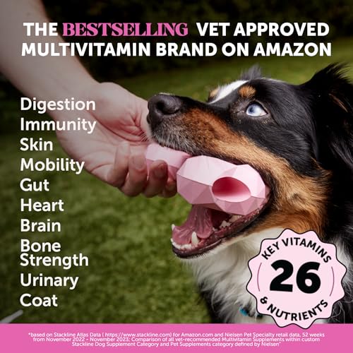 10-in-1 Dog Multivitamin Supplement with Glucosamine & Probiotics - Hip & Joint Support, Digestive Health, Immune Support, Heart & Skin - All-in-One Daily Vitamins & Omega-3s (Peanut Butter, 90 ct)