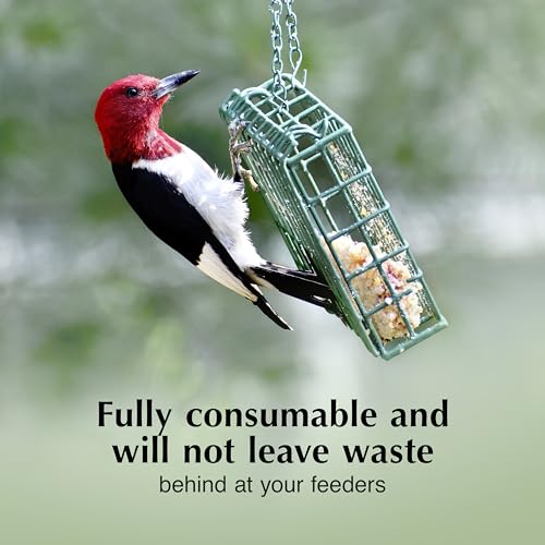 C&S High Energy Delight No Melt Suet Dough, Suet Cakes for Wild Birds Including Woodpeckers, Nuthatches, Chickadees and More, Pack of 8