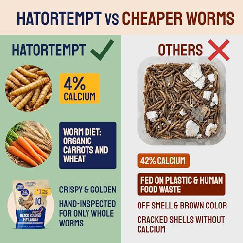 Hatortempt 10lb Dried Black Soldier Fly Larvae - More Calcium Than Mealworms for Chickens - High Protein Chicken Feed Treats for Laying Hens, Wild Birds and Duck Food