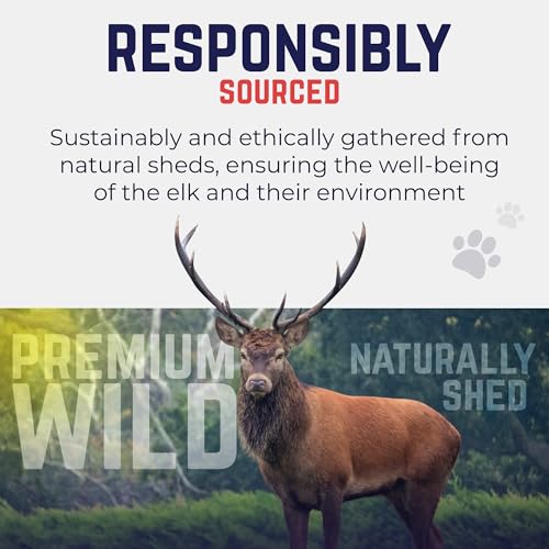 Devil Dog Pet Co. Elk Antlers for Dogs, Natural Dog Chew for Aggressive Chewers - Long Lasting and Odor Free - USA Sourced - Cleaner Teeth, Anxiety & Boredom Relief - Whole Medium 5"+ - Antler Bone