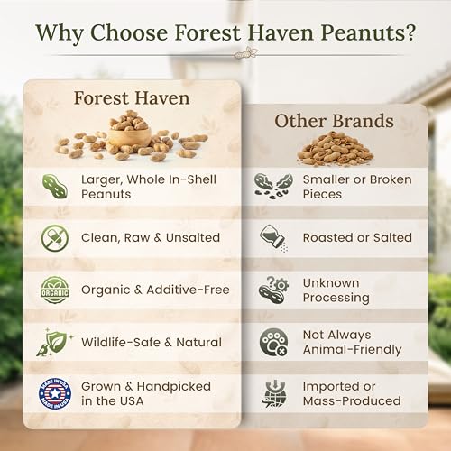 Forest Haven Premium Raw Peanuts for Squirrels – 10LB Bulk Squirrel Food – Unsalted Peanuts in Shell for Birds, Deer & Wildlife – Bonus Binoculars Included - USA Grown