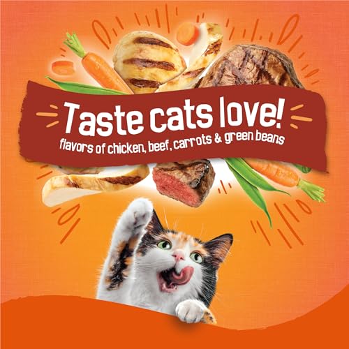 Purina Friskies Tender and Crunchy Combo with Flavors of Chicken, Beef, Carrots and Green Beans Dry and Tender Cat Food - 16 Lb. Bag (Packaging may vary)
