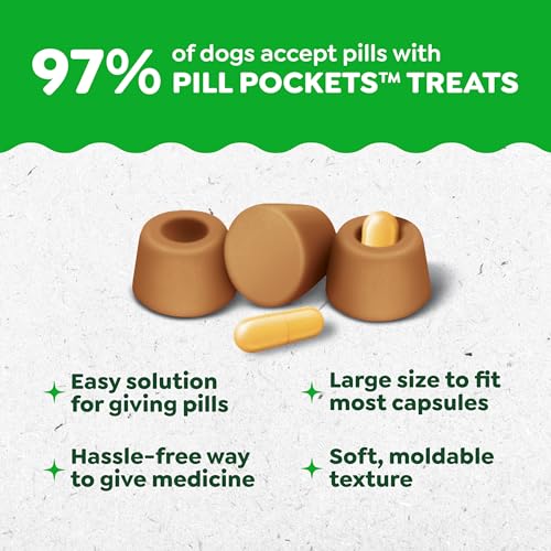 Greenies Pill Pockets for Dogs Large Size, Dog Treat Pouch for Capsule Medication, Peanut Butter Flavor, 15.8 oz. Pouch