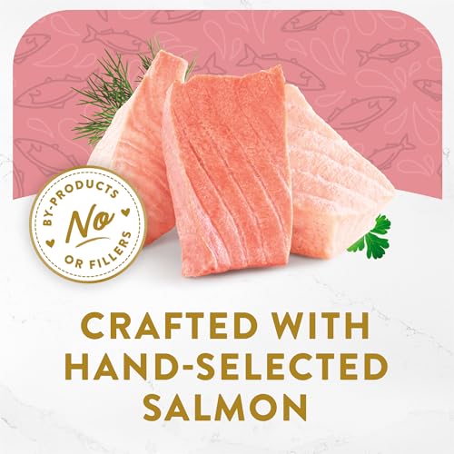 Purina Fancy Feast Appetizers Lickable Grain Free Wet Cat Food Topper Wild Alaskan Salmon Appetizer - (Pack of 10) 1.1 oz. Trays