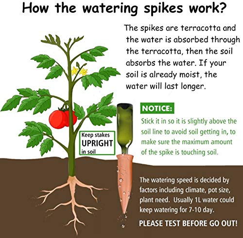 Plant Watering Devices 6 Pack Terracotta Vacation Plant Waterer Wine Bottle Watering Stakes Slow Release Plant Watering Spikes Self Watering Devices for Indoor Outdoor Plants