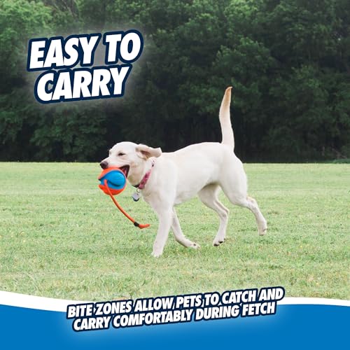 Chuckit! Rope Fetch Dog Toy - Ball on Rope Fetch and Tug-of-War Toy for Dogs - Durable EVA Rubber Construction - 5.5-inch Diameter - 18-inch Rοpe - Orange and Blue