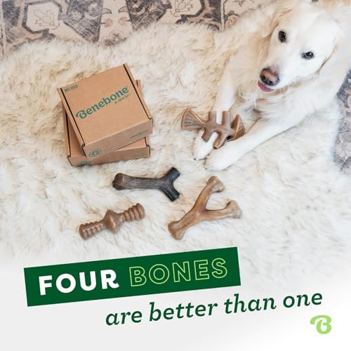 Benebone Medium 4-Pack Dog Toys for Aggressive Chewers – Durable Dog Bones, Made in USA – Dog Toys for Medium Dogs Under 60 lbs