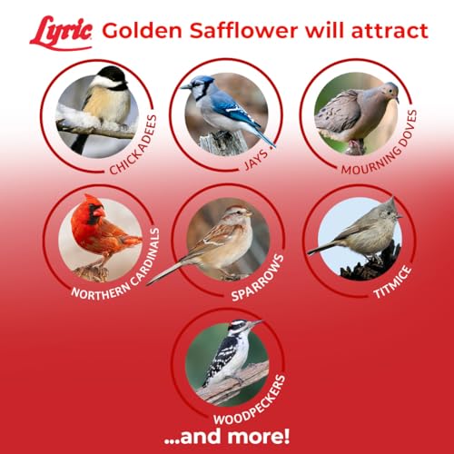 Lyric Golden Safflower Bird Seed for Outside Feeders - Attracts Cardinals, Chickadees, Woodpeckers & More, 12 lb Bag