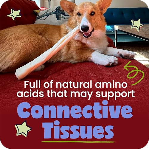 Pawstruck Natural Large 12" Beef Collagen Sticks for Dogs – Long-Lasting Rawhide Alternative, High Protein Treats with Chondroitin & Glucosamine – 5 Pack