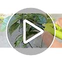 2-Pack Stainless Steel Gardening Scissors, Pruning Shears and Clippers for Gardening