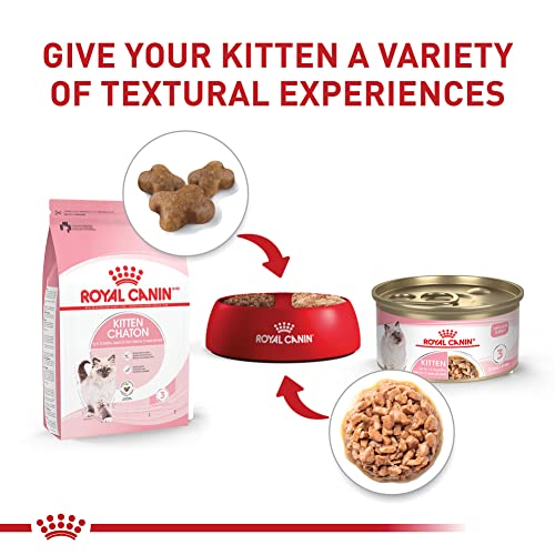 Royal Canin Feline Health Nutrition Kitten Thin Slices in Gravy Cat Food, 3 oz (Pack of 24)