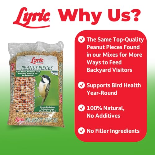 Lyric Peanut Pieces Wild Bird Seed 15 lb Bag - Shelled Peanuts Wild Bird Food for Outside Feeders - Attracts Titmice, Woodpeckers, Chickadees & More
