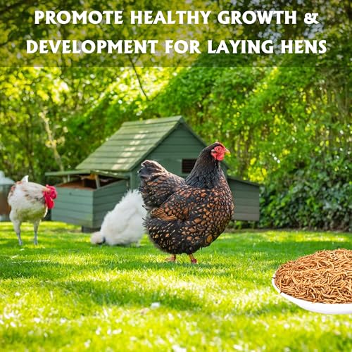 Dried Mealworms 10LB Pure Natural Non-GMO Mealworms for Chicken Ducks and Wild Birds High Protein Chicken Feed and Bird Food