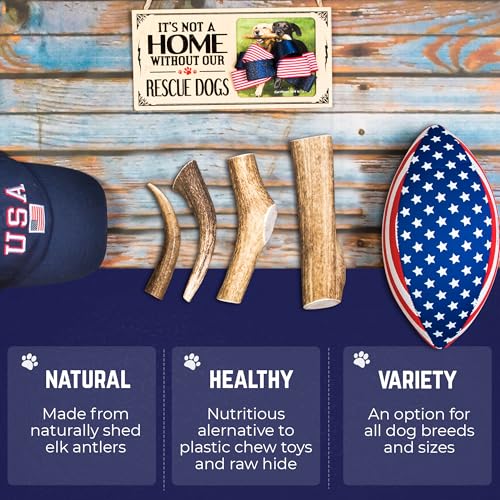 Devil Dog Pet Co. Elk Antlers for Dogs, Natural Dog Chew for Aggressive Chewers - Long Lasting and Odor Free - USA Sourced - Cleaner Teeth, Anxiety & Boredom Relief - Whole Medium 5"+ - Antler Bone