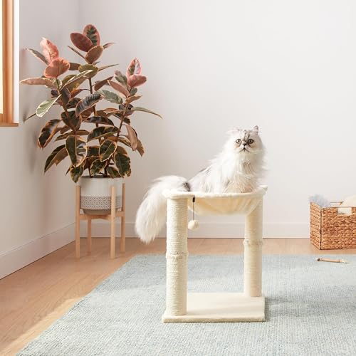 Basics Cat Tower with Hammock Bed and Scratching Post for Indoor Cats, Easy to Assemble, Interactive Hanging Ball, 15.8" x 15.8" x 19.7", Beige