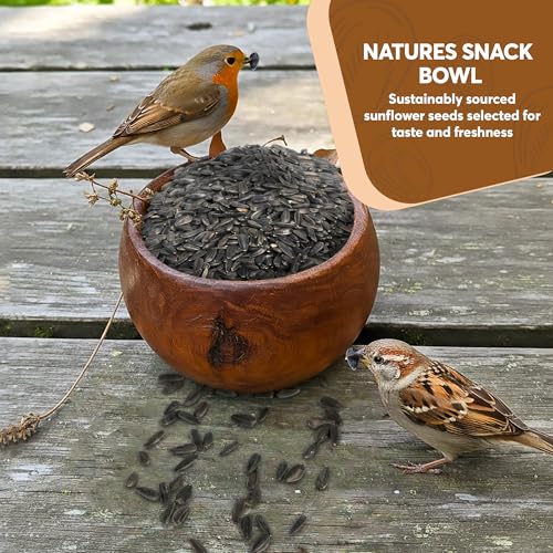 10 Pound Black Oil Sunflower Seeds for Birds – Premium Wildlife Food – Non - GMO -Grown in the USA - Black Oil Sunflower Seeds for Wild Animals and Backyard Feeders