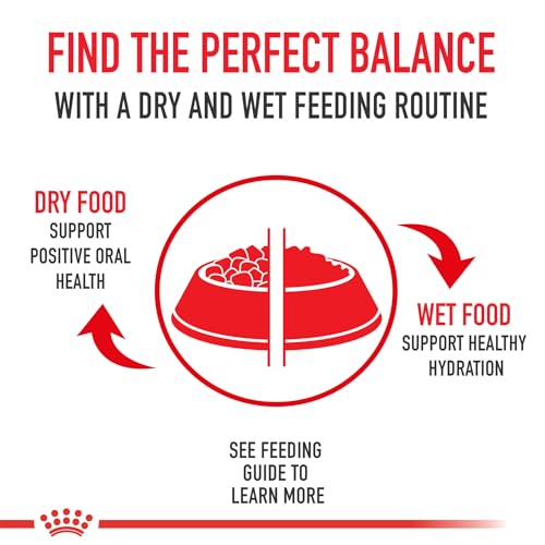 Royal Canin Feline Health Nutrition Indoor Adult Dry Cat Food, 7 lb Bag